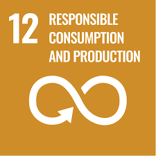 Responsible Consumption and Production